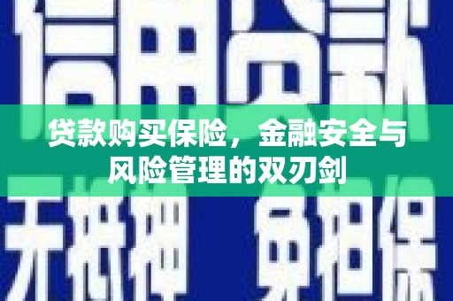 狮潭贷款购买保险，金融安全与风险管理的双刃剑