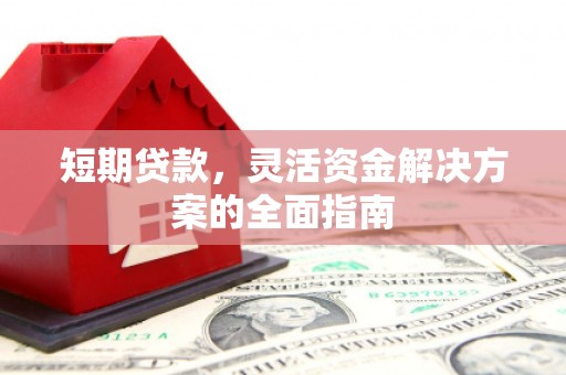 狮潭短期贷款，灵活资金解决方案的全面指南