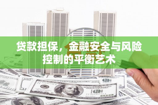 狮潭贷款担保，金融安全与风险控制的平衡艺术