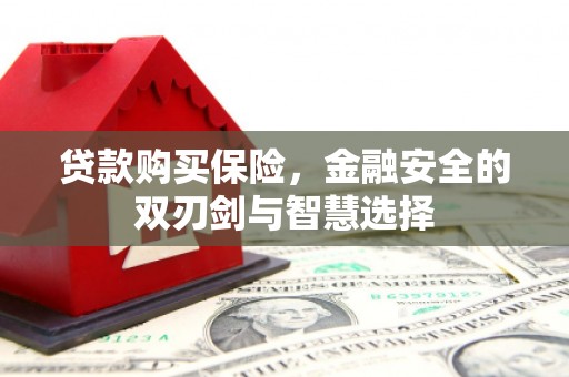 狮潭贷款购买保险，金融安全的双刃剑与智慧选择