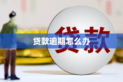 狮潭贷款逾期怎么办