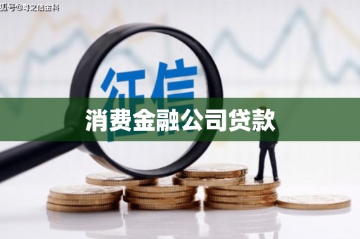 狮潭消费金融公司贷款