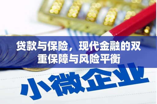 狮潭贷款与保险，现代金融的双重保障与风险平衡