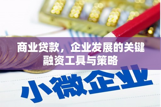 狮潭商业贷款，企业发展的关键融资工具与策略