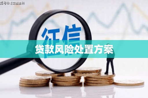 狮潭贷款风险处置方案