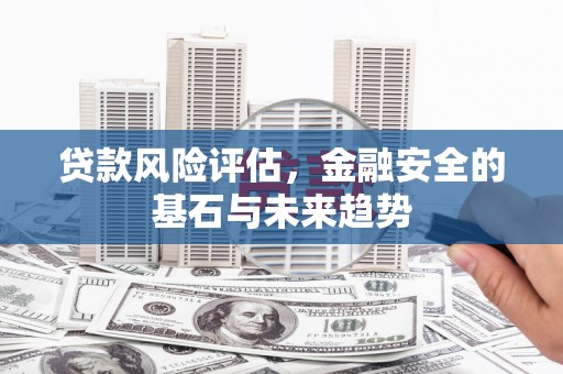 狮潭贷款风险评估，金融安全的基石与未来趋势