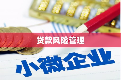 狮潭贷款风险管理