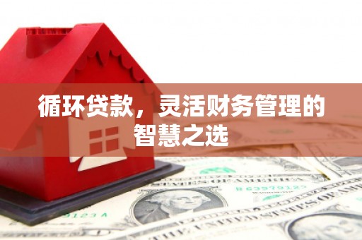 狮潭循环贷款，灵活财务管理的智慧之选