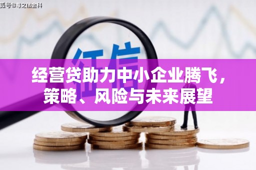 狮潭经营贷助力中小企业腾飞，策略、风险与未来展望
