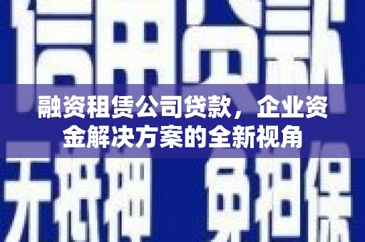 狮潭融资租赁公司贷款，企业资金解决方案的全新视角