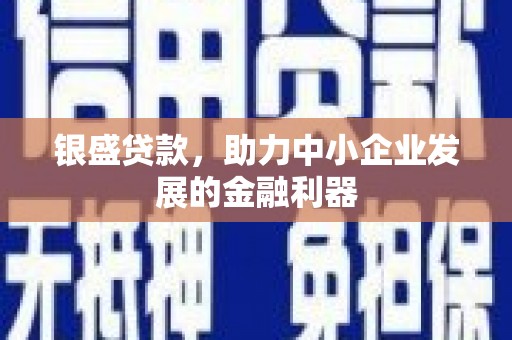狮潭银盛贷款，助力中小企业发展的金融利器