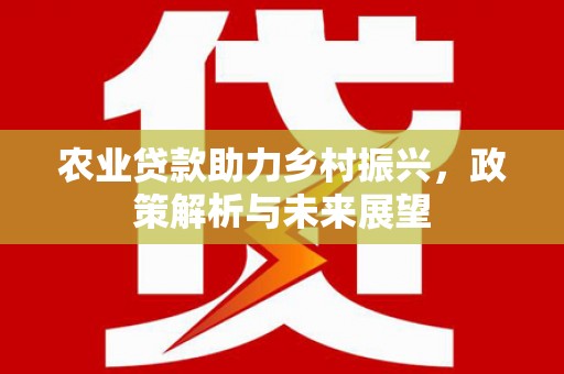 狮潭农业贷款助力乡村振兴，政策解析与未来展望
