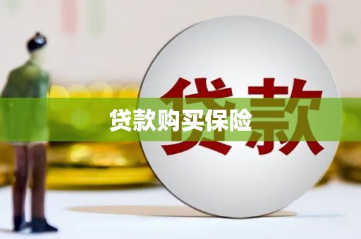狮潭贷款购买保险