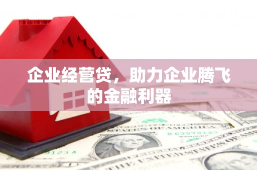 狮潭企业经营贷，助力企业腾飞的金融利器