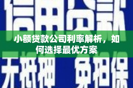 狮潭小额贷款公司利率解析，如何选择最优方案
