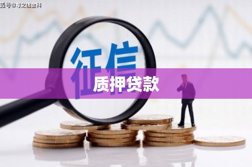 狮潭质押贷款
