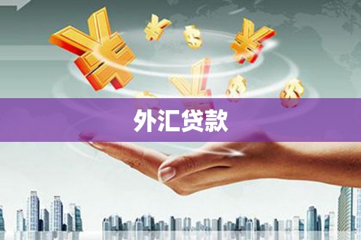 狮潭外汇贷款