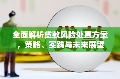 狮潭全面解析贷款风险处置方案，策略、实践与未来展望