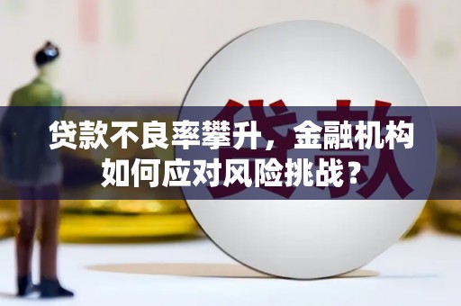 狮潭贷款不良率攀升，金融机构如何应对风险挑战？