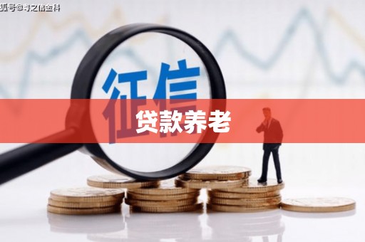 狮潭贷款养老