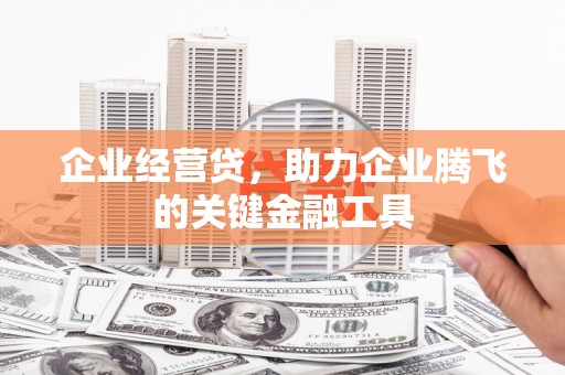 狮潭企业经营贷，助力企业腾飞的关键金融工具