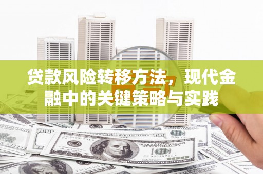 狮潭贷款风险转移方法，现代金融中的关键策略与实践