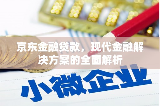 狮潭京东金融贷款，现代金融解决方案的全面解析