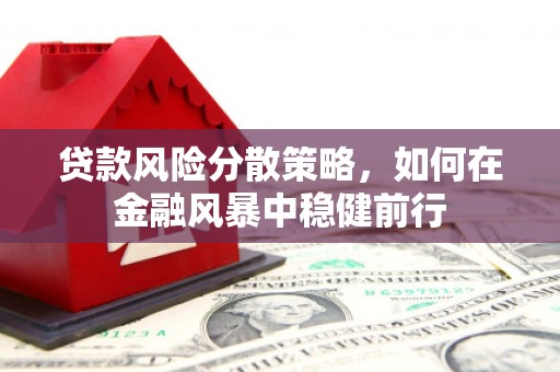 狮潭贷款风险分散策略，如何在金融风暴中稳健前行