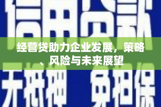 狮潭经营贷助力企业发展，策略、风险与未来展望