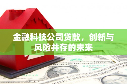 狮潭金融科技公司贷款，创新与风险并存的未来