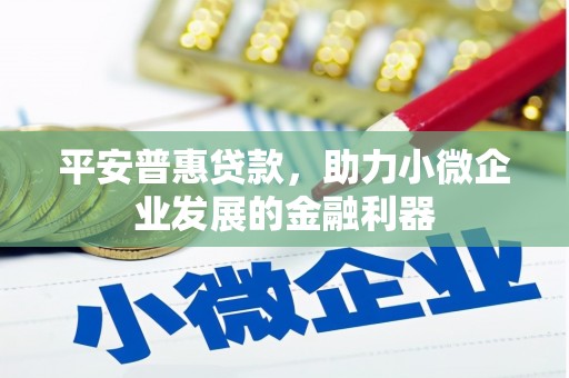 狮潭平安普惠贷款，助力小微企业发展的金融利器