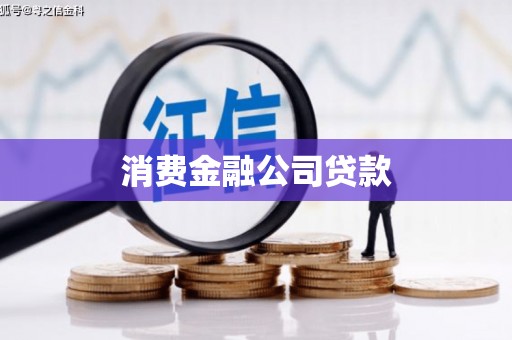 狮潭消费金融公司贷款
