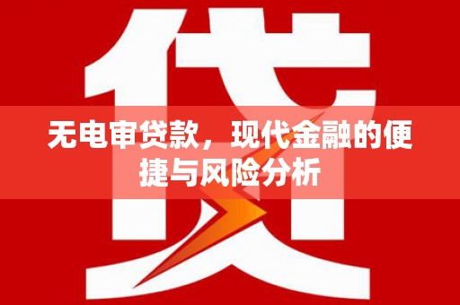 狮潭无电审贷款，现代金融的便捷与风险分析