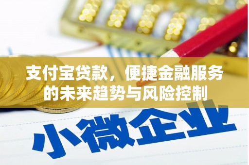 狮潭支付宝贷款，便捷金融服务的未来趋势与风险控制