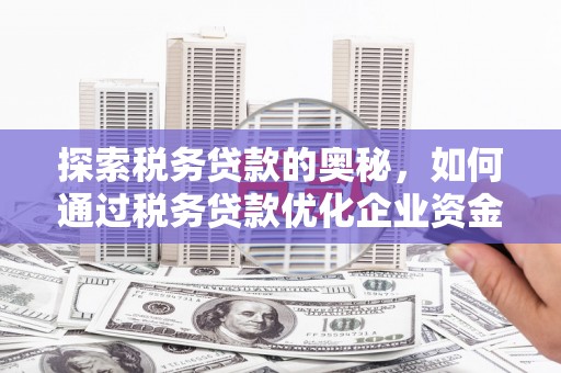 狮潭探索税务贷款的奥秘，如何通过税务贷款优化企业资金流
