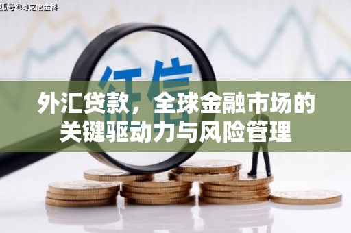 狮潭外汇贷款，全球金融市场的关键驱动力与风险管理