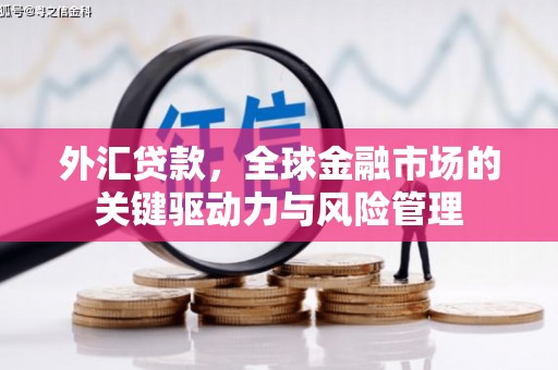狮潭外汇贷款，全球金融市场的关键驱动力与风险管理