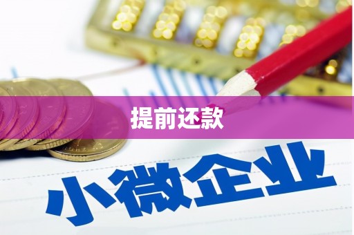 狮潭提前还款