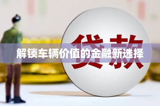 狮潭解锁车辆价值的金融新选择