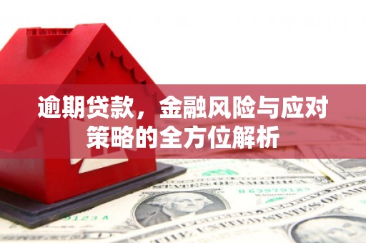 狮潭逾期贷款，金融风险与应对策略的全方位解析