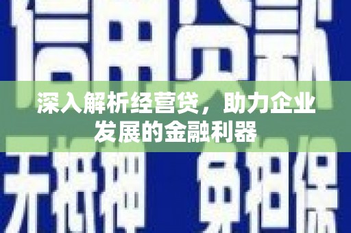 狮潭深入解析经营贷，助力企业发展的金融利器