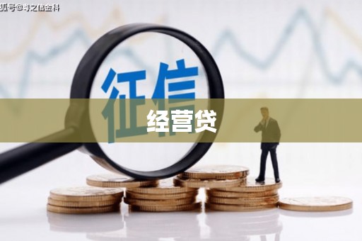 狮潭经营贷