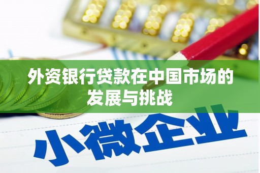 狮潭外资银行贷款在中国市场的发展与挑战