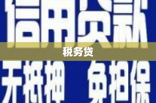 狮潭税务贷