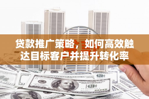 狮潭贷款推广策略，如何高效触达目标客户并提升转化率