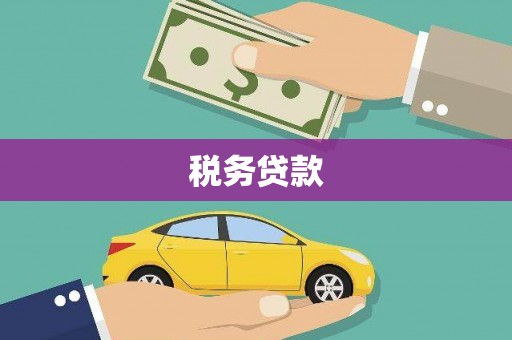 狮潭税务贷款