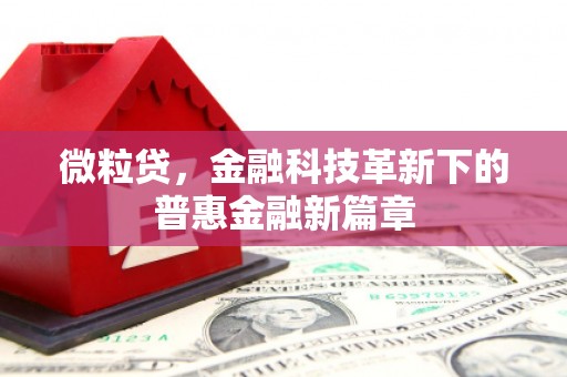 狮潭微粒贷，金融科技革新下的普惠金融新篇章