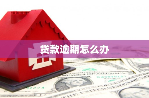 狮潭贷款逾期怎么办