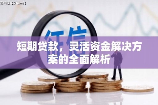 狮潭短期贷款，灵活资金解决方案的全面解析