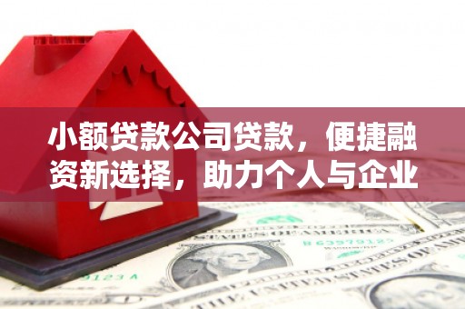 狮潭小额贷款公司贷款，便捷融资新选择，助力个人与企业成长